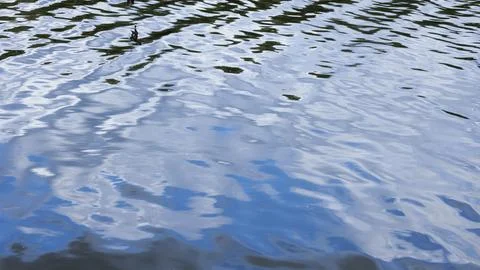 Blue waves abstract background texture. Stock Photos