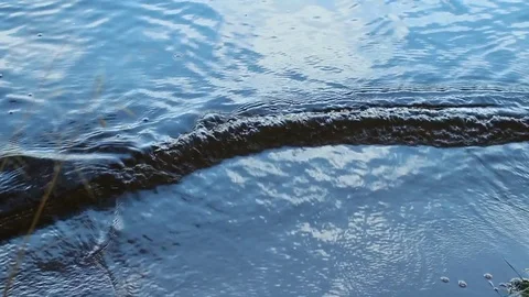 Blue waves on blue sand background Stock Footage 81248036