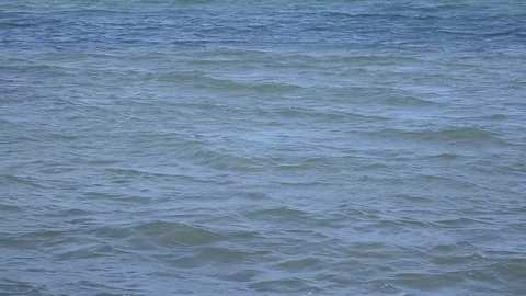 Blue Waves at lake Stock Footage 74311559