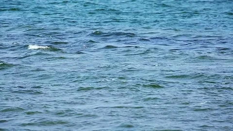 Blue Waves at lake Stock Footage 74312888