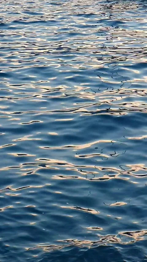 Blue Waves Ocean Stock Footage 308659425