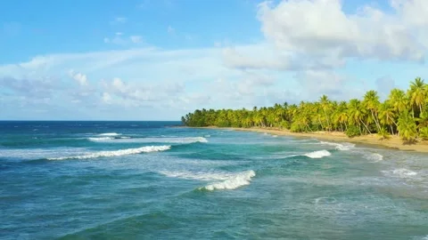 Blue waves of the ocean with white lambs near the palm Seychelles beach. Stock-Footage 161128775