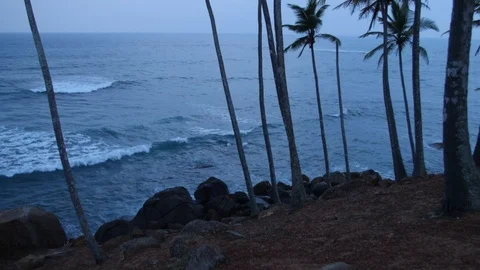 Blue waves at sunset beat against the rocks against the background of palm trees Stock Footage 115495555