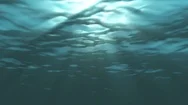 Blue Waves Underwater Liquid Surface Lights Motion Background Loop  Stock Footage