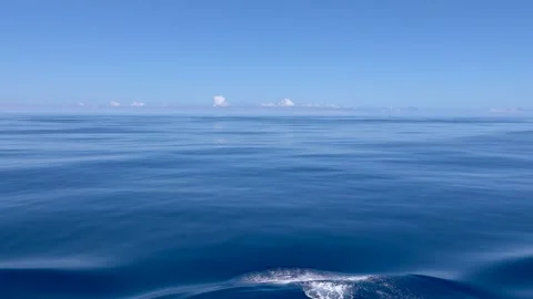 Blue wavy background. The sea level moves smoothly and forms a ripple. Stock Footage 157895660