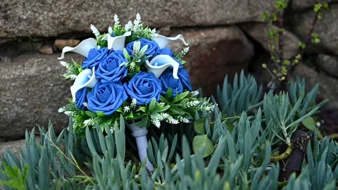 Blue Wedding Bouquet 動画素材 154322440