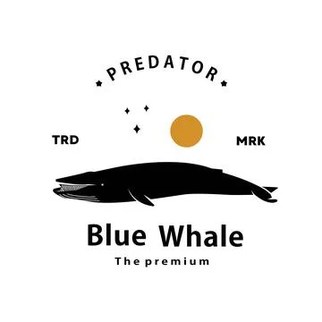 Blue whale logo vector outline silhouette art icon Stock Illustration
