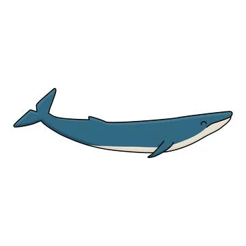 Blue whale. Vector hand drawn cartoon childish isolated illustration on the Stock Illustration