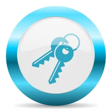 Blue white circle web glossy icon Stock Illustration
