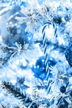 Blue white sugar cane on icy fir tree branch Stock Illustration