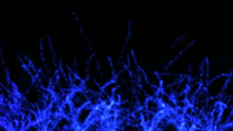 Blue wiggle Animation Digital Background Stock Footage 147678093