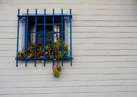 Blue window bars on a white wall adorned with flower pots Stock Photos