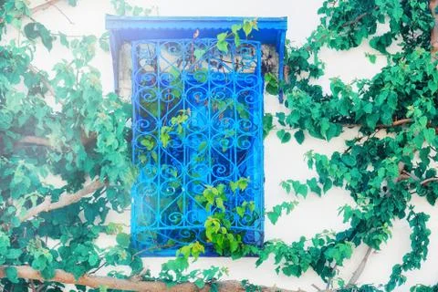 Blue window with decorative bars and tree branches, Sidi Bou Said, Tunisia, A Stock Photos