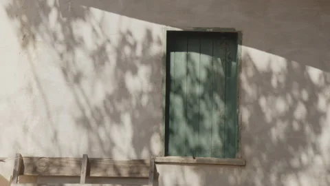 Blue window with sunlight cut out by plants sertão nordeste Stock Footage 199685410