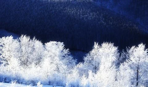 Blue winter abstract background with trees pattern and mountains Stock Photos