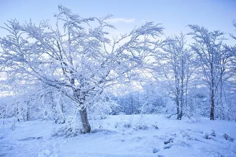 Blue winter abstract background with trees pattern and mountains Stock Photos