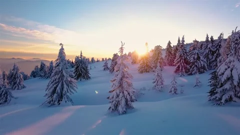 Blue winter forest with snowy trees Colorful light evening sunset frozen nature Stock Footage 150817126