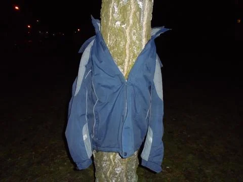 Blue winter jacket on tree trunk at night in urban park Stock Photos