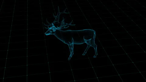 Blue Wireframe Deer Standing in Futuristic Digital Grid Landscape Stock Footage 342249072