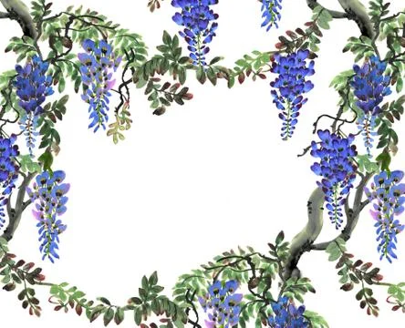 Blue wisteria tree Stock Illustration