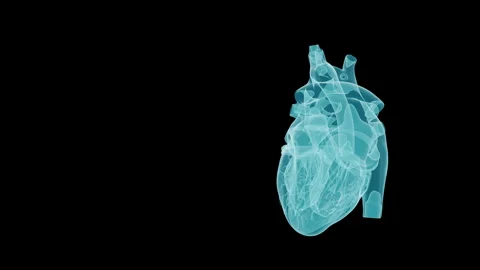 Blue X-Ray Heart Rotating Loop with Copy Space - Medical Hologram 3D Rendering Stock Footage 340217928