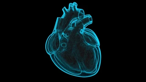 Blue x-ray style human heart beating Stock Footage 320570880