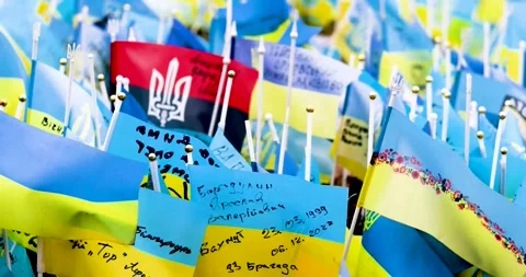 Blue-yellow flags of ukraine with a trident develop in the wind in memory of 스톡 동영상 234883187
