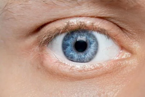 Blue young man eye macro Stock Photos