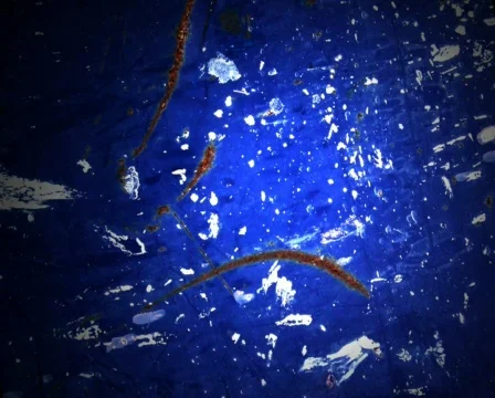 Blue Zoom Видео 102973