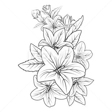 Bluebell flowers. Sketch. Hand drawn outline vector illustration, isolated  floral elements for design on white background. Stock Vector