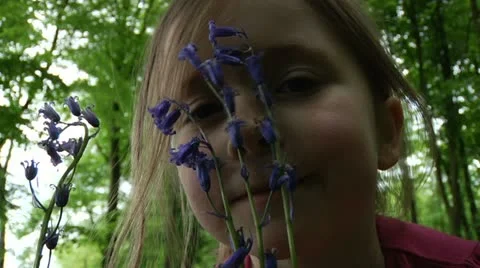 Bluebell Stock Footage 22636319
