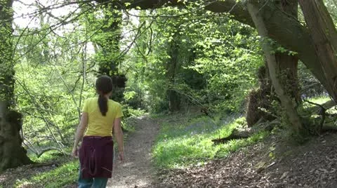 A Bluebell Walks Stock Footage 12418511