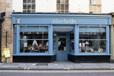 Bluebells, Bath. Stock Photos