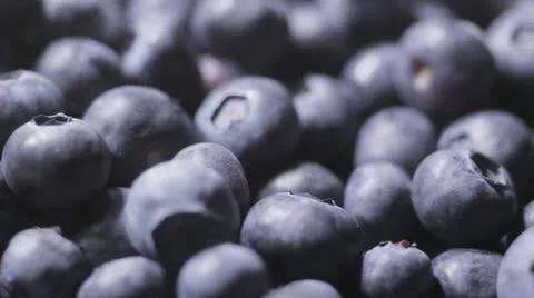 Blueberries 1 스톡 동영상 22028174