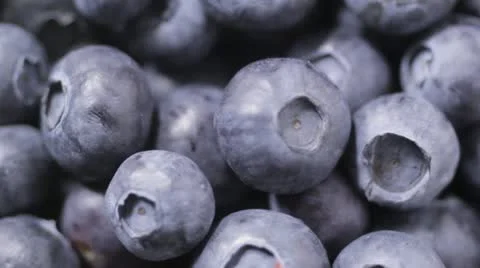 Blueberries 2 Stockbeeldmateriaal 22028896