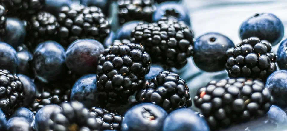Blueberries and blackberries as fruit background, healthy food and berry juice Stock Photos