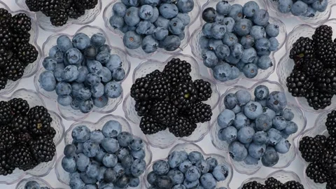 Blueberries and Blackberries Rotating Flat Lay Composition Stock Footage 346249254