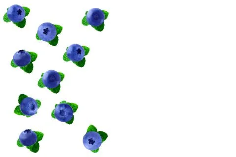 Blueberries and mint background Stock Photos