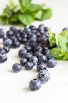 Blueberries and mint on grey stone background. Foto stock