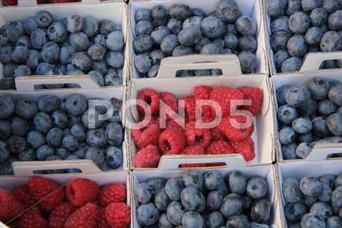 Blueberries and raspberries Stock Photos