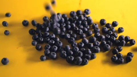 Blueberries are falling on yellow background Stock Footage 92200306