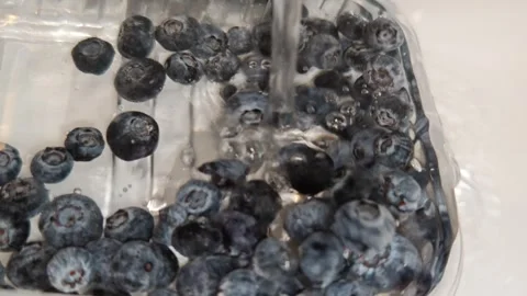 Blueberries are washed under running water. Видео 318799936