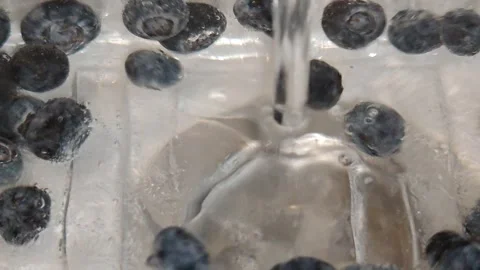 Blueberries are washed under running water and move chaotically. Stock Footage 318800068
