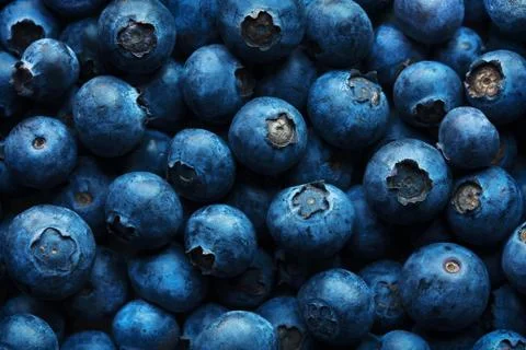 Blueberries Background Close-up Stock Photos