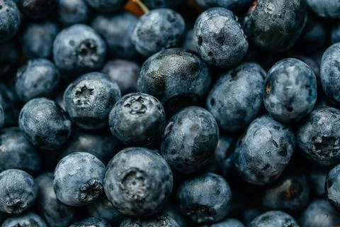 Blueberries background, close up Stock Photos