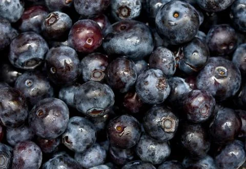 Blueberries background Stock Photos