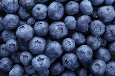 Blueberries background Stock Photos