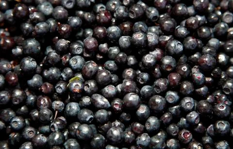 Blueberries background Stock Photos