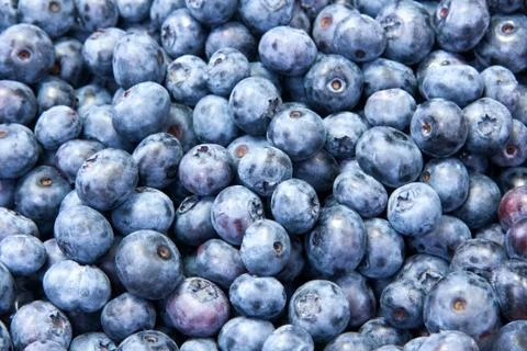 Blueberries background Stock Photos