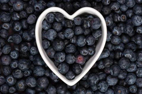 Blueberries Background Stock Photos